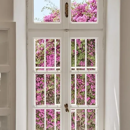 Alice's Noble House 펜션 *